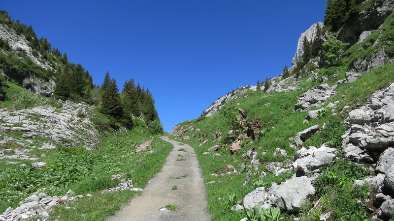 Mont Gardy, randonnée d'été depuis le Flon sur Miex via le lac de Tanay